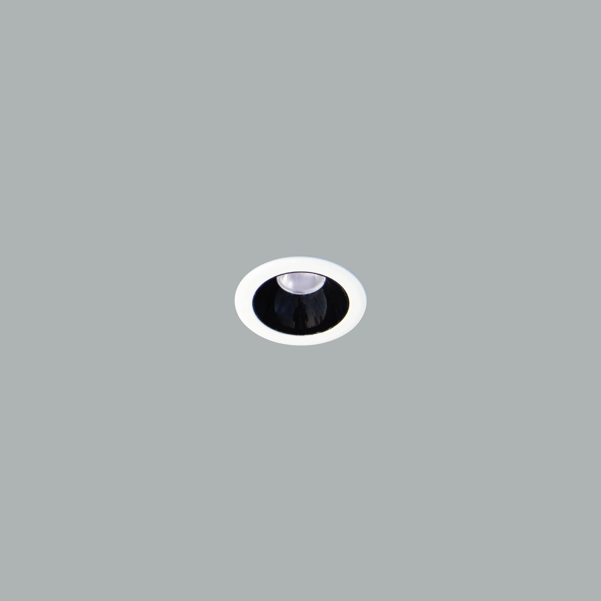 Pin Spot Micro