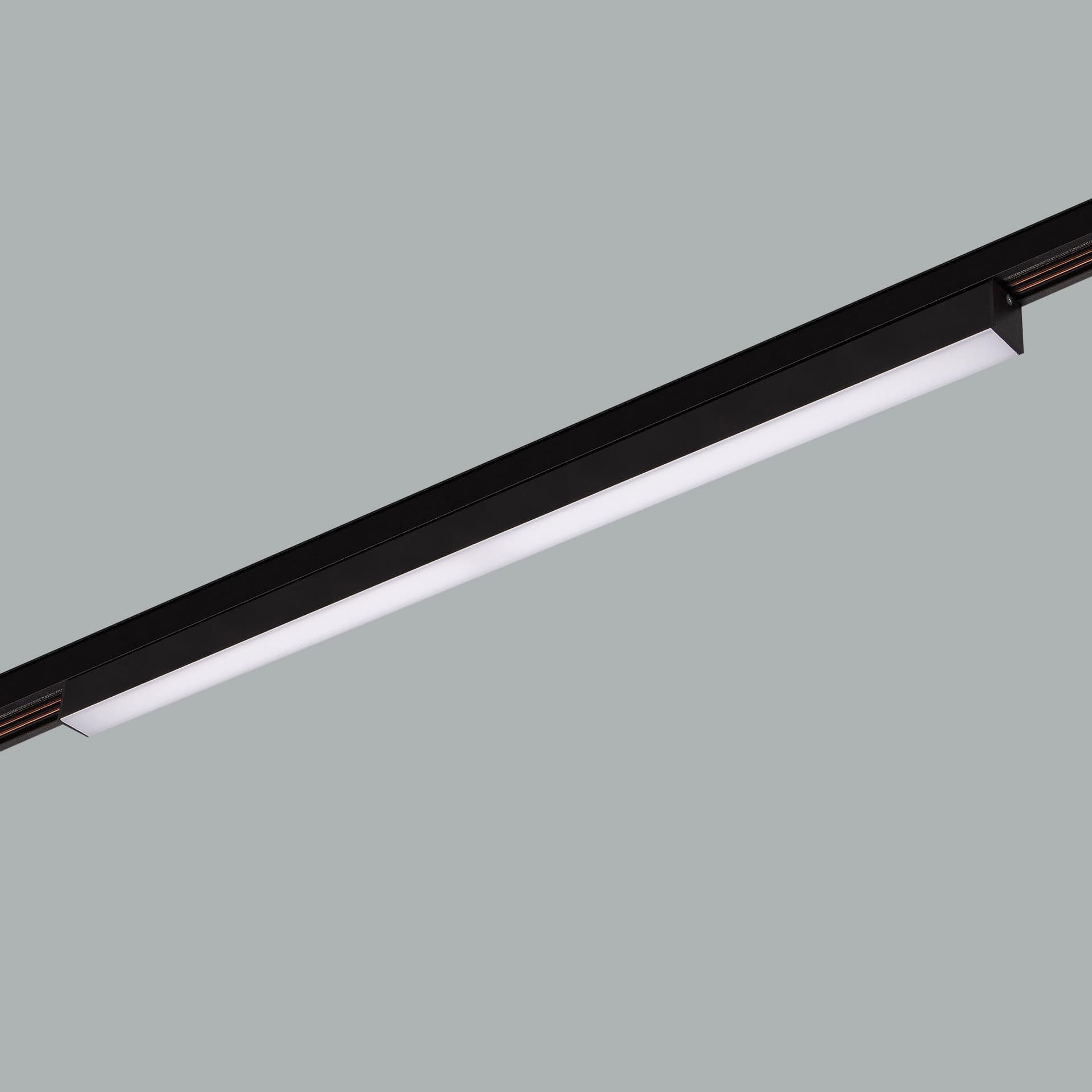 Sword Track 48V