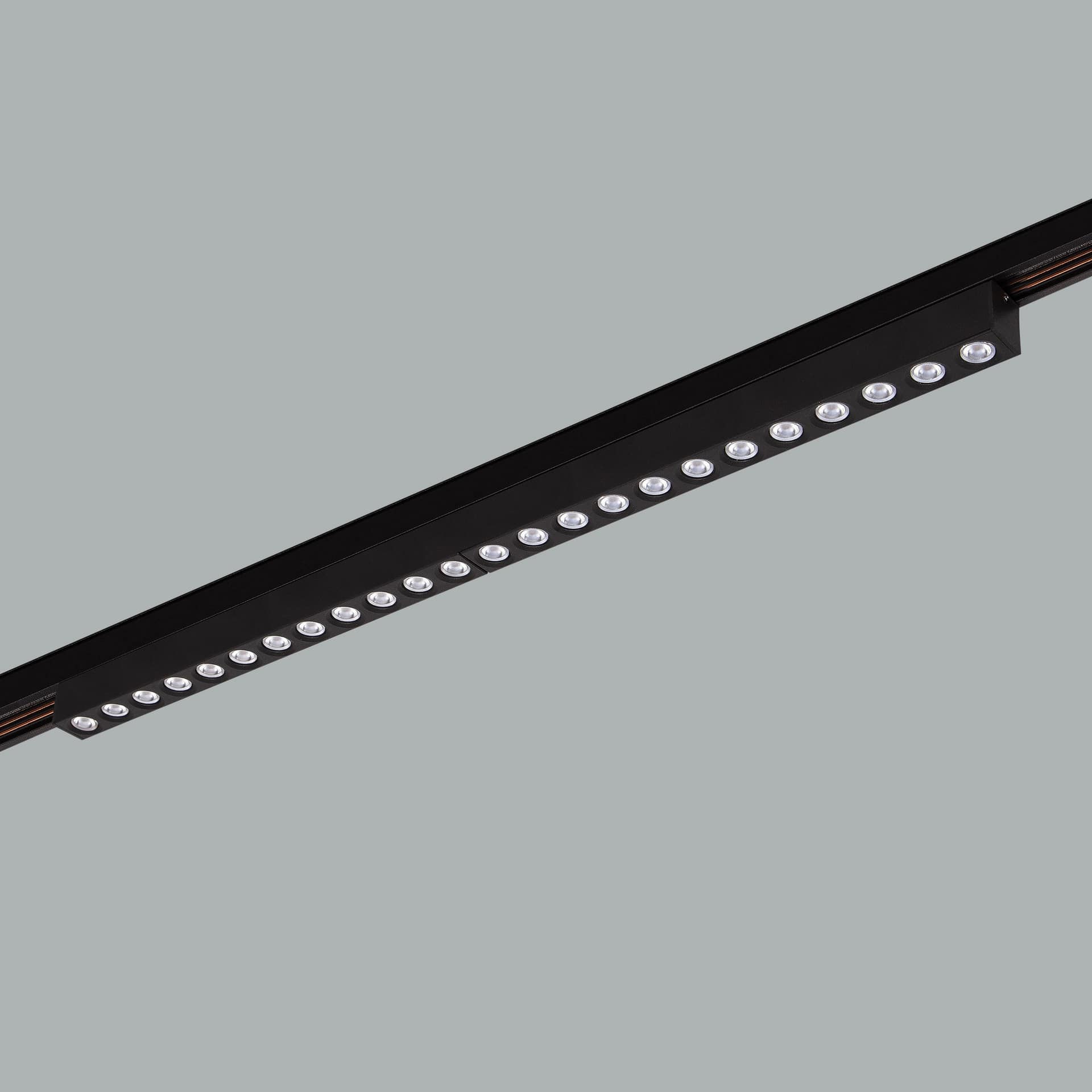Sword Track 48V