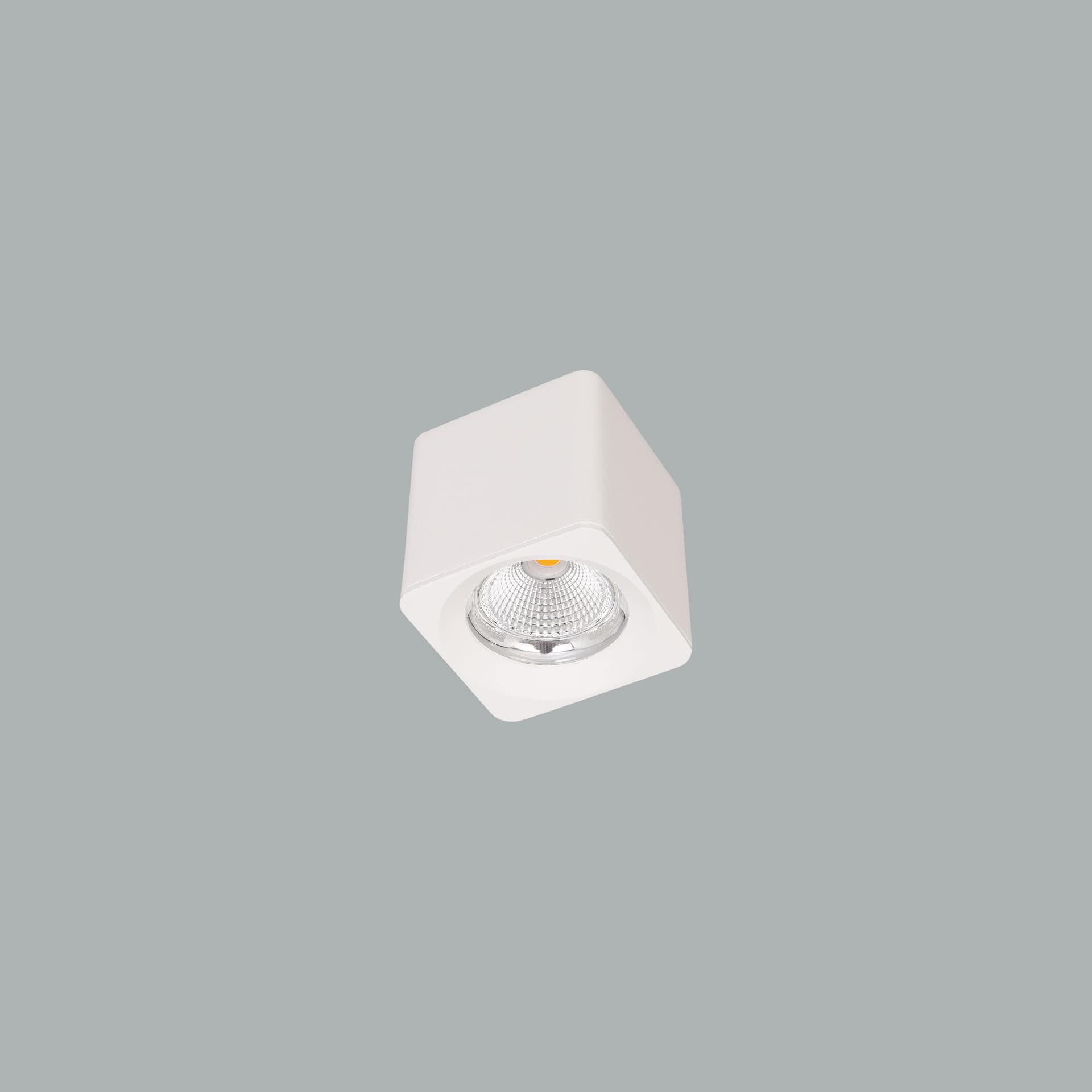 Venus Micro