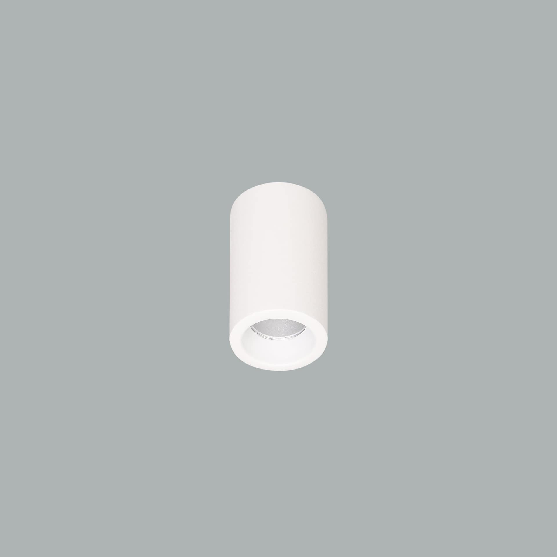 Cub Micro Surface