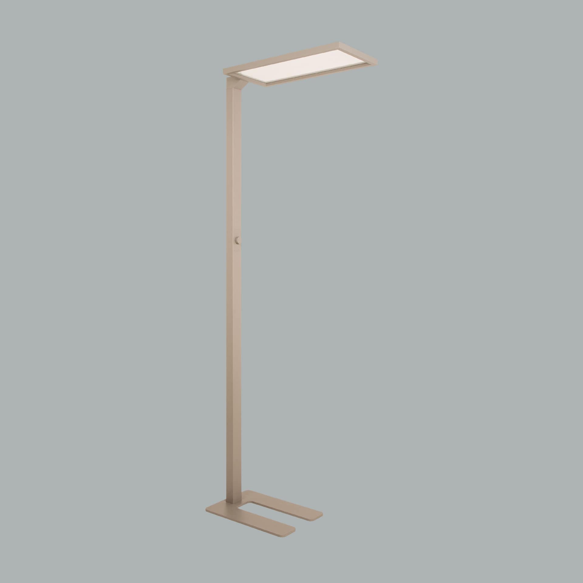 Ege