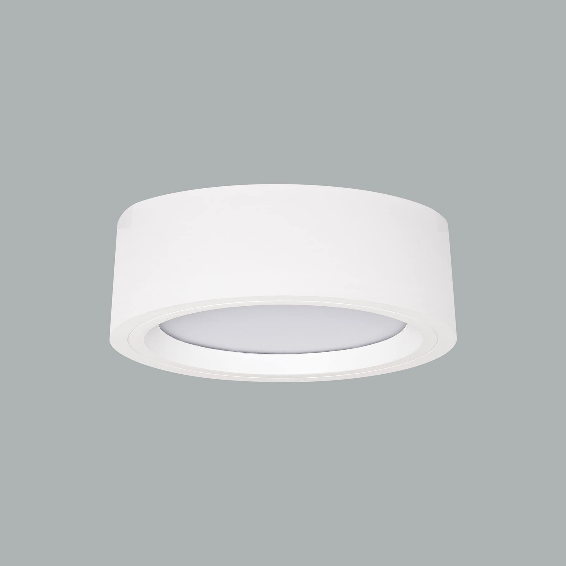 Neptun Maxi Surface