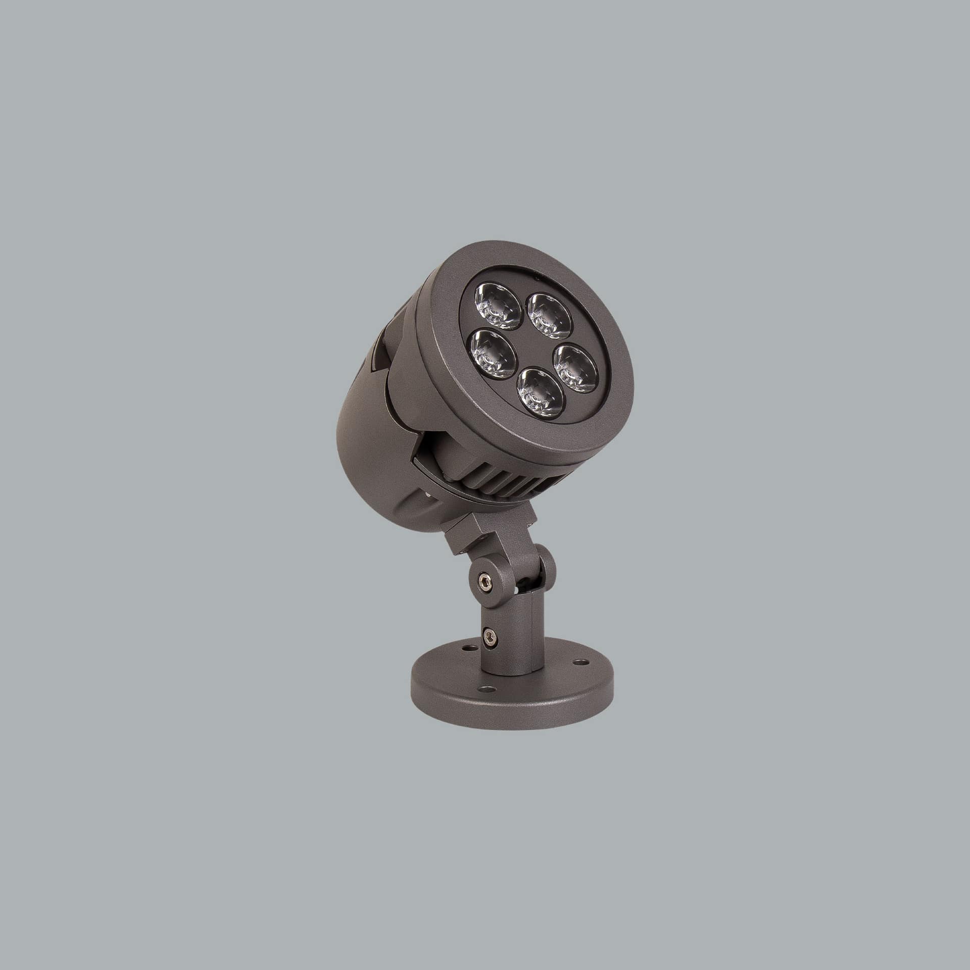 Panda Midi Focus